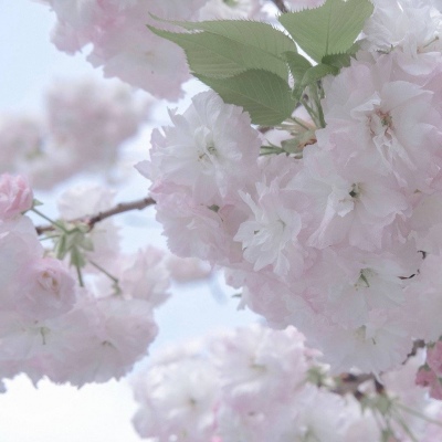 Furry插画背景绘制技巧Furry群